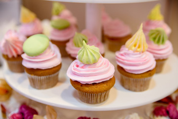 Multi-colored cream cup cakes
