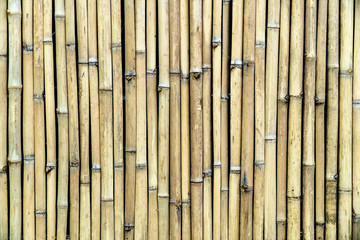 bamboo background,bamboo texture for backdrop wallpaper,nature decorative