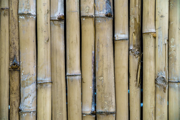 bamboo background,bamboo texture for backdrop wallpaper,nature decorative