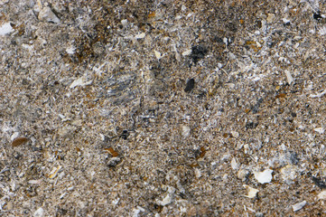 Wood ash. Remains of ash after burning wood.