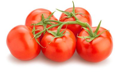 tomatoes
