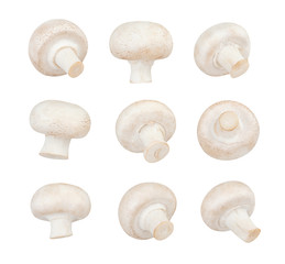 mushrooms