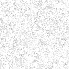 Abstract background with grey lines on a white background. Lines on a map. Monochrome image.