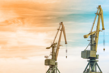 Cranes against sunset sky background