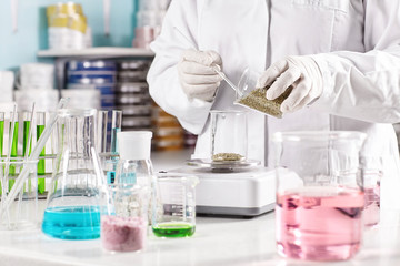 Scientific research at laboratory on finding out new species of vegetation. Researcher in white...