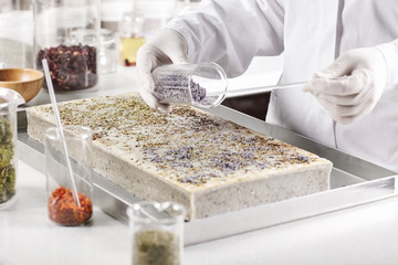 Humanities, research, innovation, technology concept. Young academic worker wearing white gown and gloves holding glass container filled with seeds testing something. Experiments in laboratory