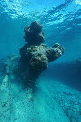 Natural rock formation underwater in the outer reef of Huahine island, Pacific ocean, French Polynesia