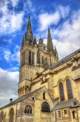 Fototapeta na wymiar Saint Maurice Cathedral of Angers in France