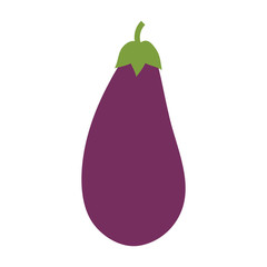 eggplant vegetable natural vector icon illustration graphic design