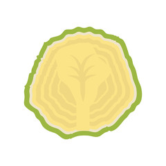 cauliflower vegetable natural vector icon illustration graphic design