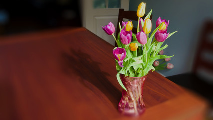 Bright sunlit vase with purple and yellow tulips and blurry background.