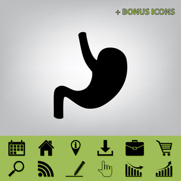 Human anatomy. Stomach sign. Vector. Black icon at gray background with bonus icons at celery ones
