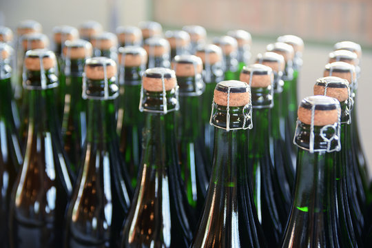 Some champagne bottles in a Catalan cava factory.