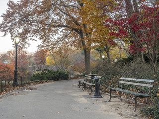 Fototapeta premium Central Park, New York City autumn
