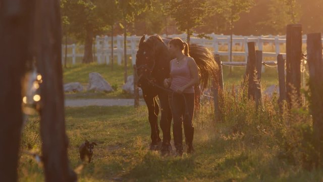 SLOW MOTION, DOF: Girl leading stunning horse from field to the stable on golden light evening. Small dog following their way between the fences. Female farmer working on farmhouse at gorgeous sunset"