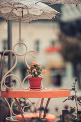Flowers in a pot on the table in a cafe bar. Street exterior.
