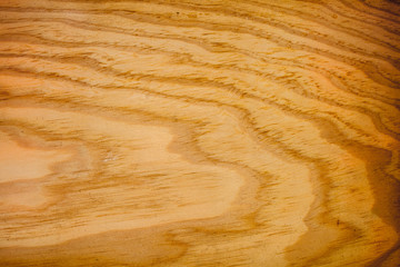 wood background