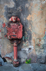Red antique meter