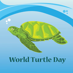 world turtle day