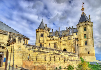 Fototapeta na wymiar Chateau de Saumur in the Loire Valley, France
