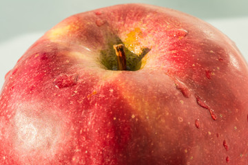 The top part of a red apple is lit by natural sunlight