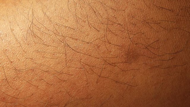Close up of Human Skin Texture 
