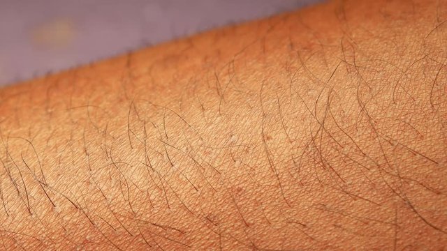 Close up of Human Skin Texture 

