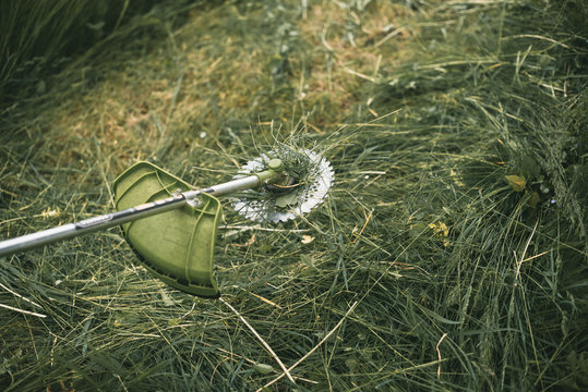 Gasoline trimmer head on green grass. Round trimmer blade.