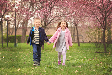 Pretty little girl and cute boy walking in spring park