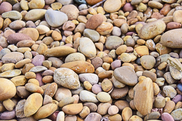 Sedimentary Stone Cobble Rock