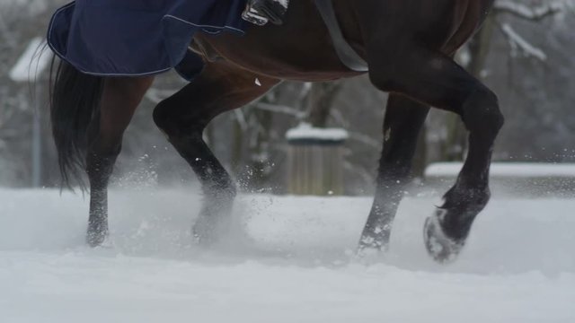 SLOW MOTION, CLOSE UP, DOF: Unrecognizable rider horseback riding beautiful dark bay horse in winter wonderland. Stunning stallion running through fresh snow in forest covered with white soft blanket
