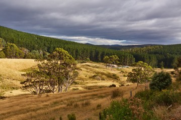 Valley in Tasmania