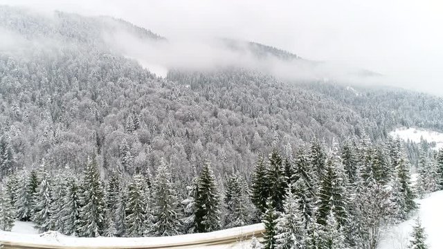 AERIAL: Car driving along the forest road in winter