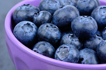 Blueberries in a bowl