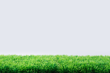 Artificial grass for mockup