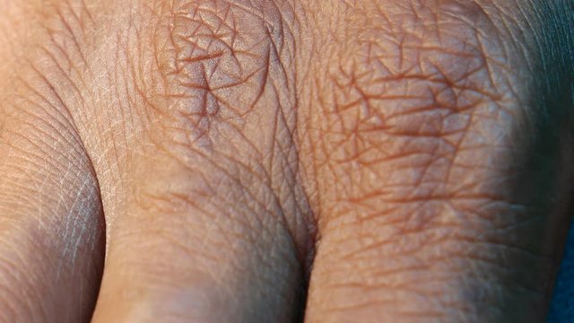 Close up of Human Skin Texture 
