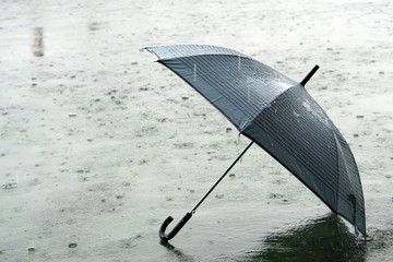 Umbrella on rainy day - The raindrops falling on an umbrella which put on the ground, make me so lonely. © Thaweerat