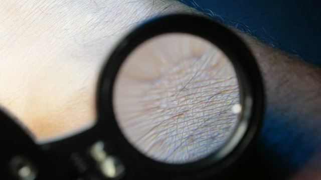 Close up of Human Skin Texture 
