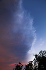 Fluffy white clouds tinged with color from the sunrise or sunset in a blue sky