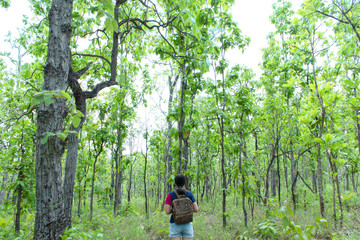 Young woman backpack Walk in the green forest, refreshing
