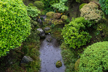 Japanese lush green garden with decorative stone in rainy day with raindrop and small water ripple in the pond