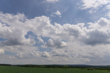 Landschaft im Sommer