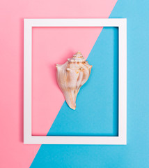 Seashell and frame on a bright background