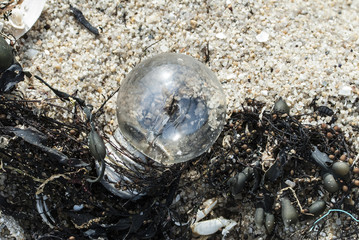Pollution plage.