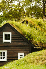House roof covered with moss