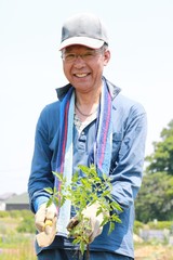 夏野菜の苗を植えるシニア
