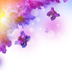 Obraz na płótnie Canvas Amazing butterfly fairy of flowers, hydrangeas and iris.