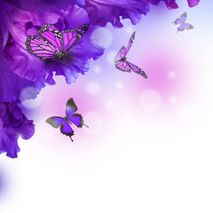 Amazing butterfly fairy of flowers, hydrangeas and iris.