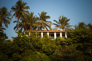 Fototapeta na wymiar Hotels (houses) at Little Vagator Beach, Goa, India