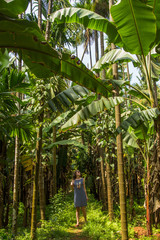 Young woman in the jungle in tropical spice plantation, Goa, India